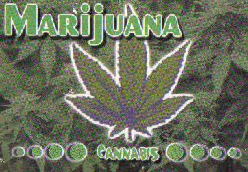maryjane.jpg